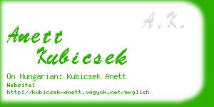 anett kubicsek business card